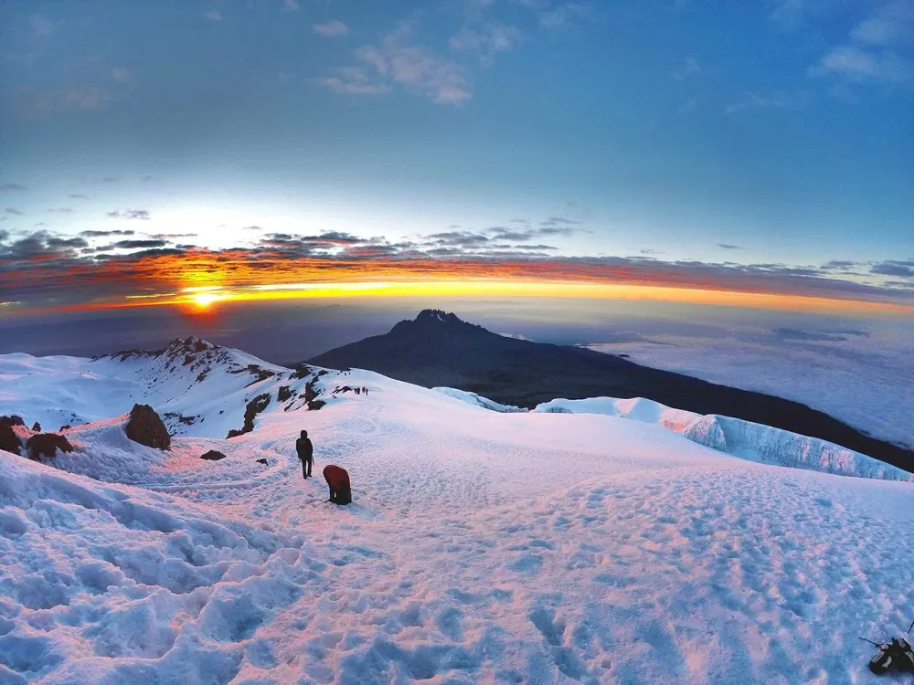 Trekkers hiking through lush rainforest on the Lemosho Route up Mount Kilimanjaro, Tanzania