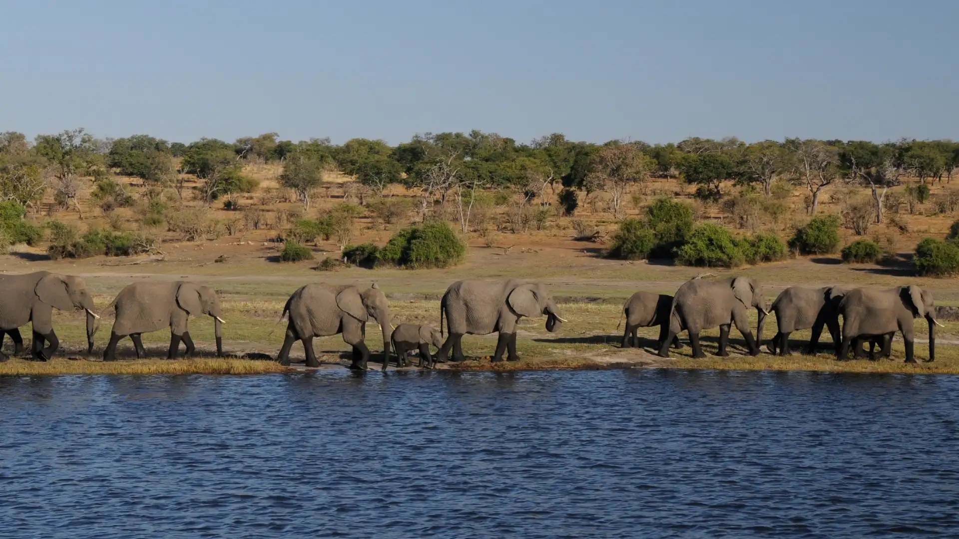 Two-day safari experience in Tarangire National Park and Ngorongoro Crater, featuring elephants, big cats, and dramatic crater landscapes.