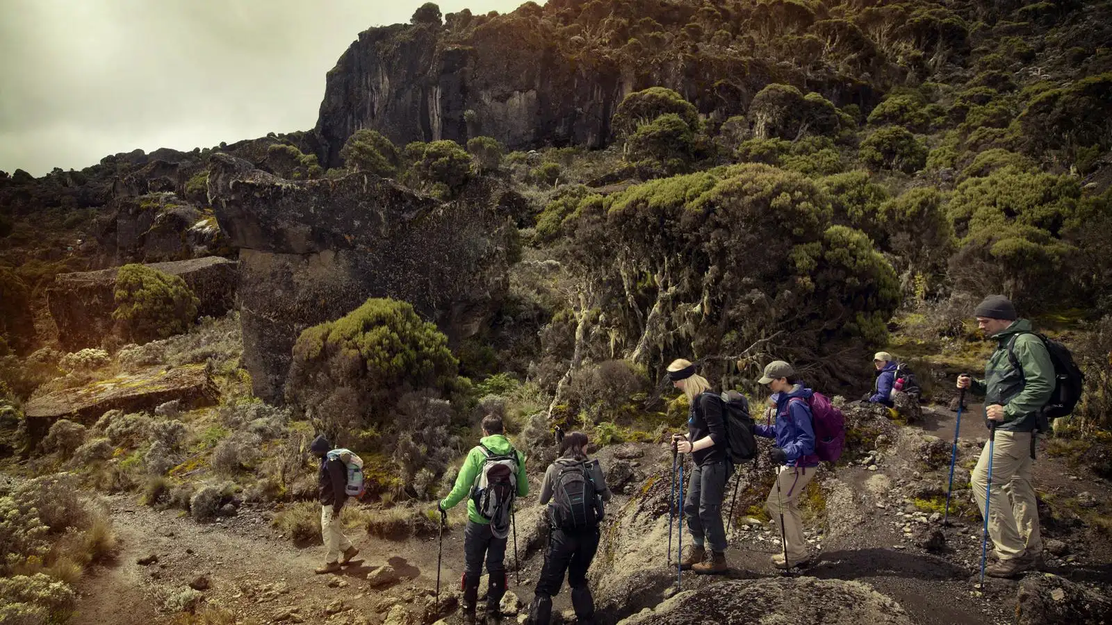 Climbers trekking Mount Kilimanjaro via the Machame Route, surrounded by dramatic mountain landscapes and alpine scenery.
