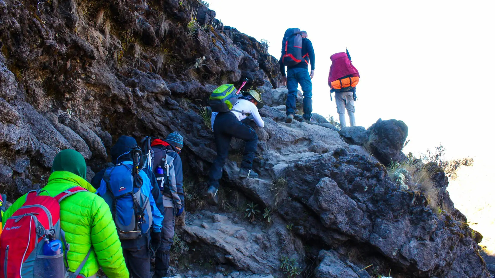 Hikers trekking Mount Kilimanjaro via the Northern Circuit Route, showcasing remote landscapes and panoramic mountain views.
