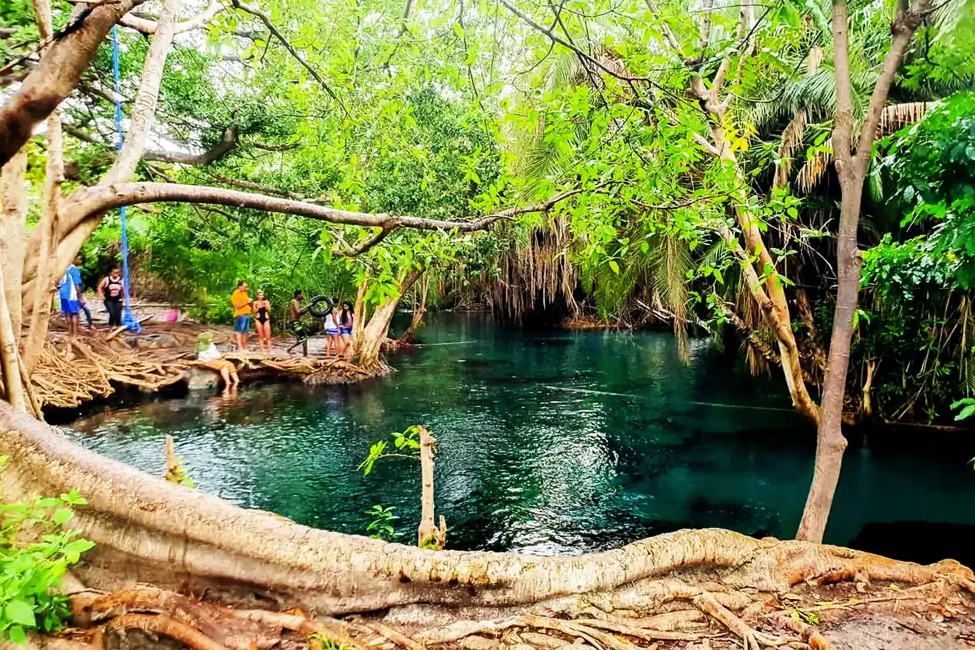 Crystal-clear turquoise waters of Chemka Hot Spring surrounded by palm trees, a natural oasis near Moshi, Tanzania.