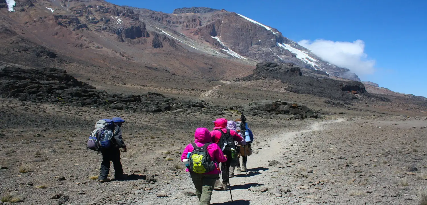 Climbers trekking Mount Kilimanjaro via the Rongai Route on the northern side, with open landscapes and scenic mountain views.