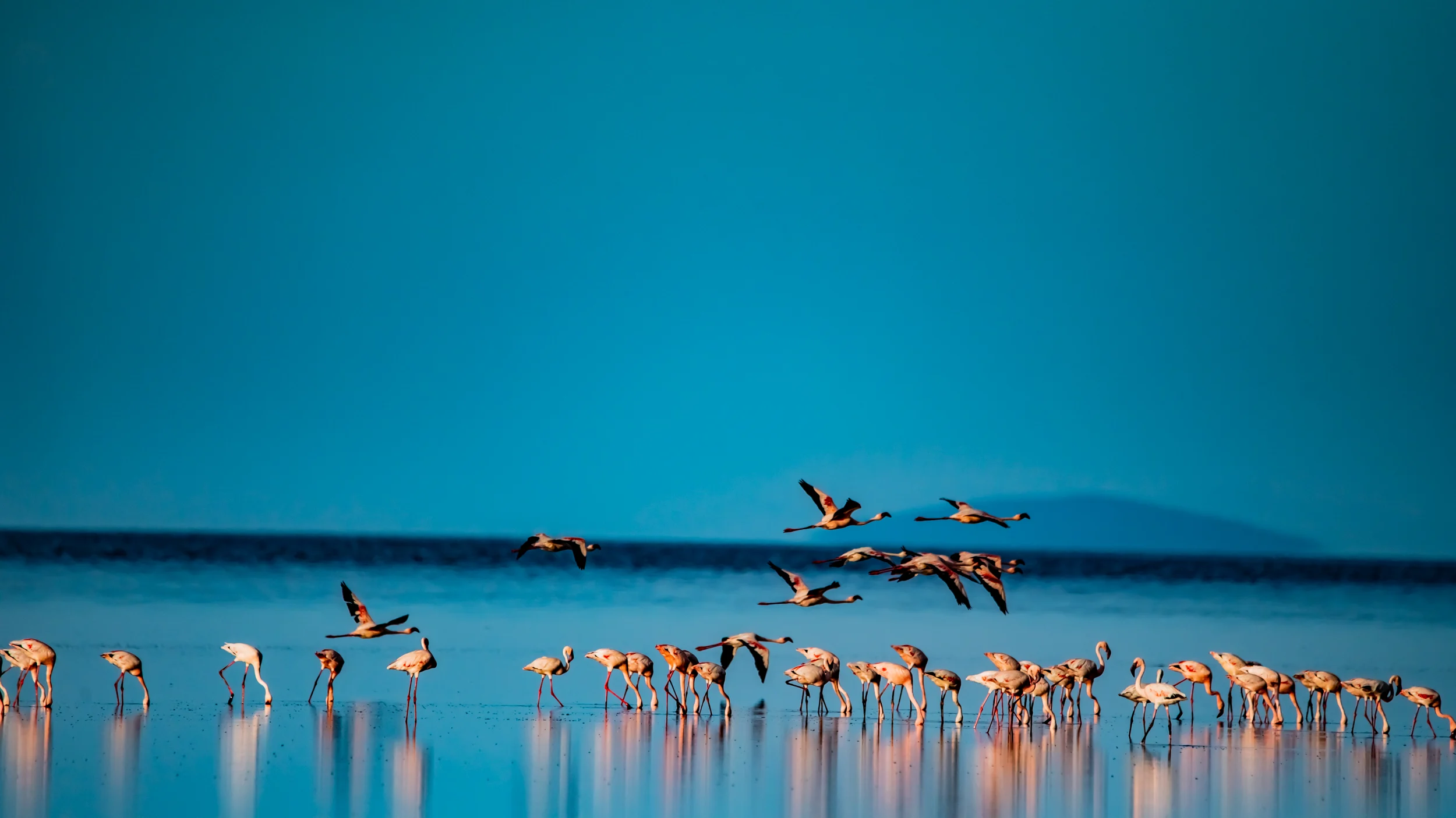 Lake Natron in northern Tanzania with flamingos, salt flats, and Ol Doinyo Lengai volcano in the background
