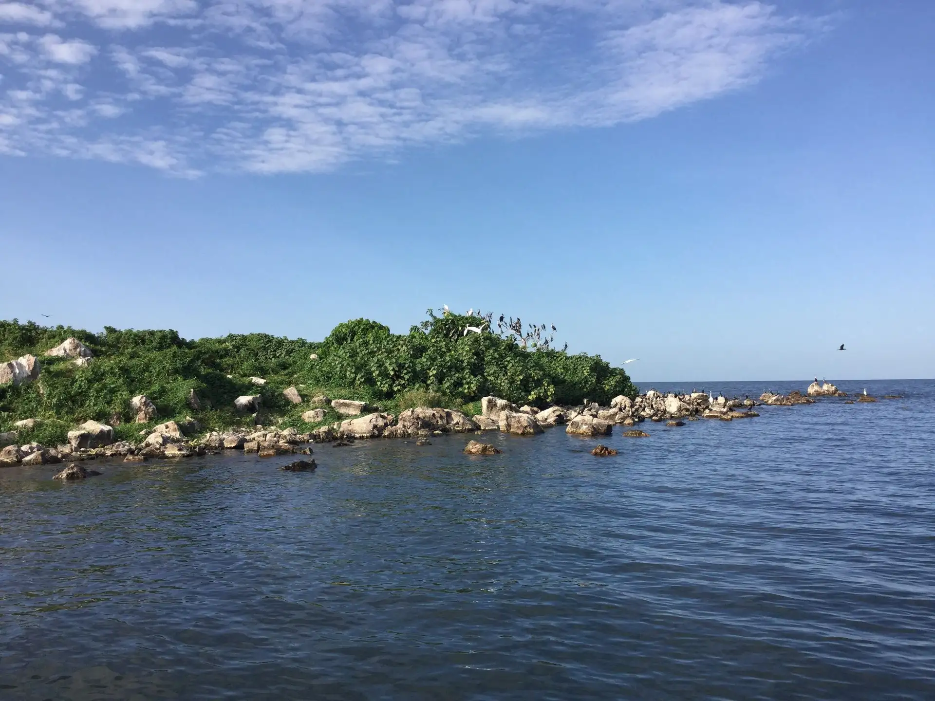 Lake Tanganyika shoreline with forested slopes of Mahale Mountains National Park in Tanzania.