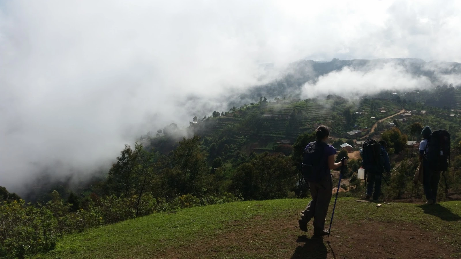 Dense tropical forest landscape in Shagayu Forest Reserve near Mtae, Tanga, Tanzania.