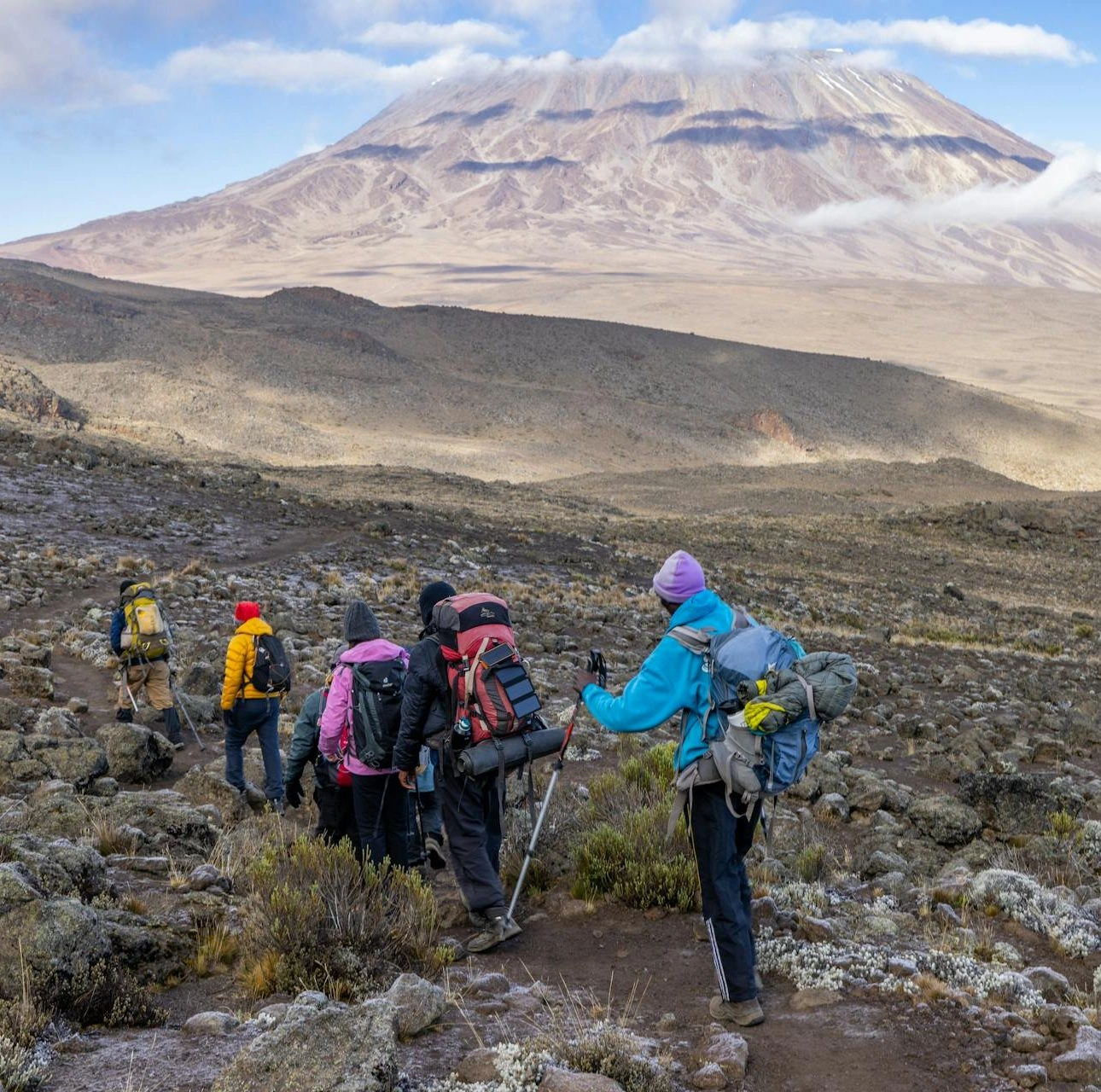Hiker pausing on a misty Tanzania mountain trail, experiencing the journey and learning how to experience Tanzania mountain treks like a local, with breathtaking scenery and guidance from local guides.